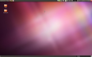 11.10 with Gnome Session Fallback